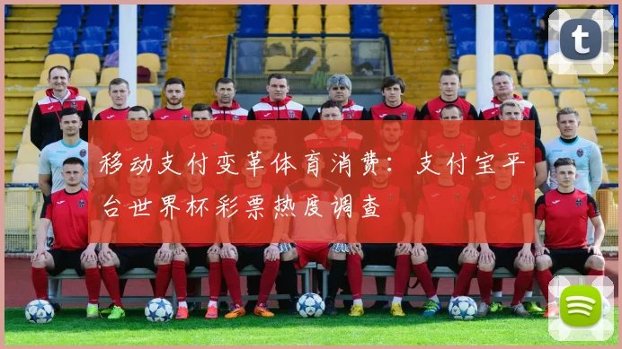 移动支付变革体育消费：支付宝平台世界杯彩票热度调查