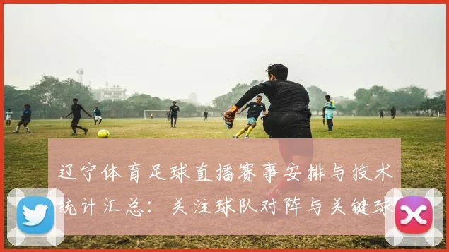 辽宁体育足球直播赛事安排与技术统计汇总：关注球队对阵与关键球员表现