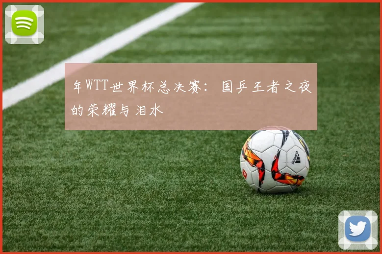 年WTT世界杯总决赛：国乒王者之夜的荣耀与泪水