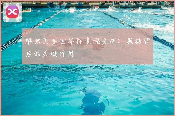 维尔贝克世界杯表现分析:数据背后的关键作用
