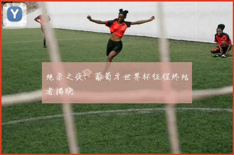 绝杀之夜:葡萄牙世界杯征程终结者揭晓