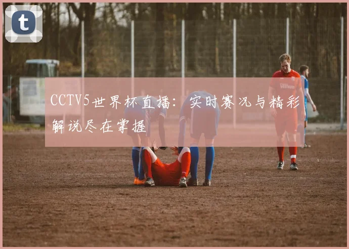 CCTV5世界杯直播：实时赛况与精彩解说尽在掌握