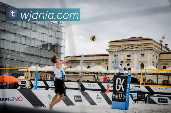 App Interface Preview