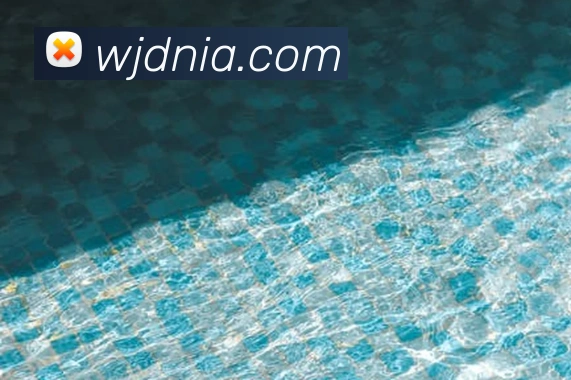 半岛在线官网APP 封面图